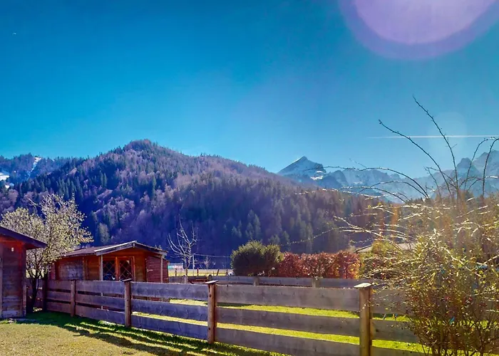 Hansi's Bergblick Lejlighed